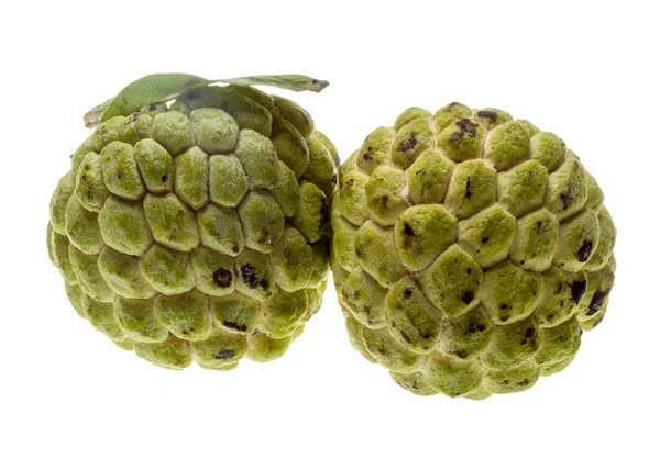 Noni fruits — Photo