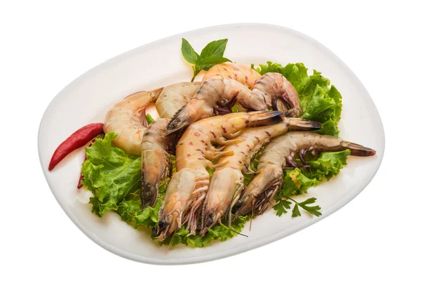 Langostino — Foto de Stock