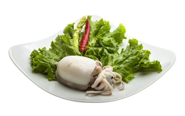 Boiled cuttlefish — Stock Photo, Image