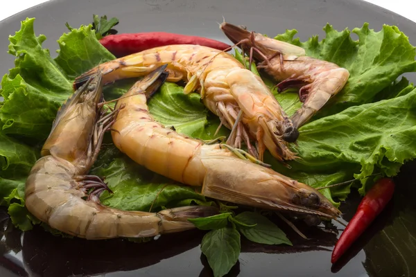 King Prawn — Stock Photo, Image