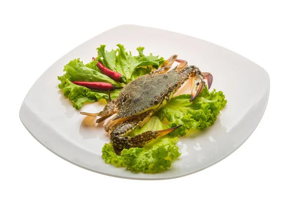 Raw crab — Stock Photo, Image