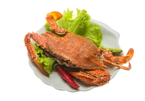 Boiled crab — Stock Photo, Image