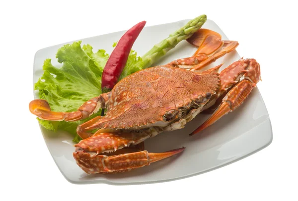 Crabe bouilli — Photo