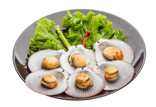 Grilled scallops — Stock Photo, Image