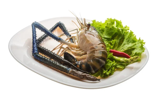 淡水虾 — 图库照片