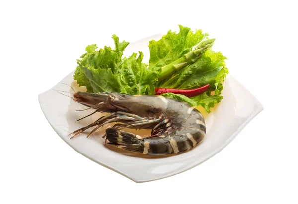 Langostino tigre — Foto de Stock