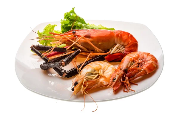 Giant Freshwater Prawn and king prawns — Stock Photo, Image