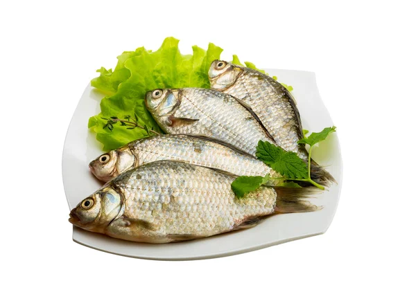 Pesce crociato — Foto Stock