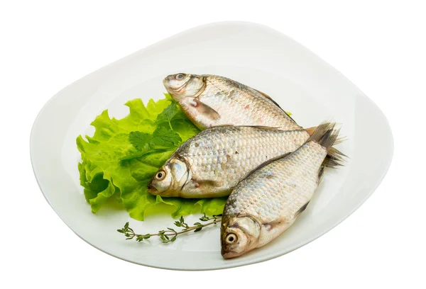 Pesce crociato — Foto Stock