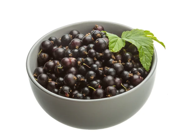 Black currant — Stock Photo, Image