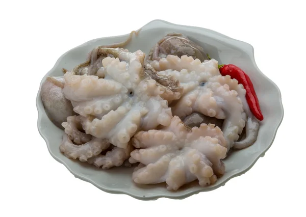 Pulpo crudo — Foto de Stock