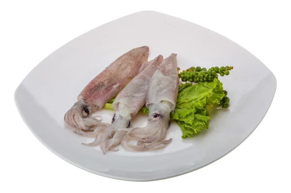 Raw calamari — Stock Photo, Image