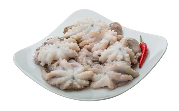 Polpo crudo — Foto Stock