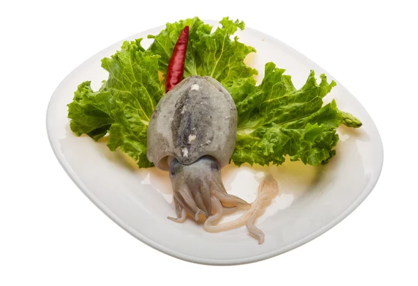 Raw cuttlefish — Stock Photo, Image