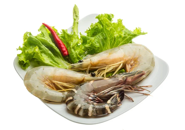 King and waterleg shrimps — Stock Photo, Image