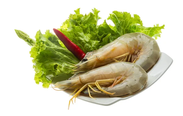 Tiger prawn — Stock Photo, Image