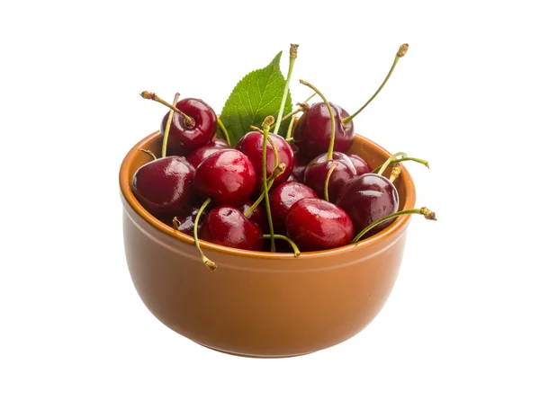 Gean - cherry — Stockfoto