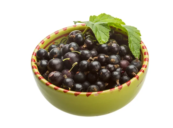 Black currant — Stock Photo, Image