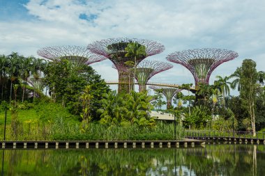 Körfez kenarındaki bahçeler