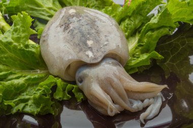 ham mürekkep balığı