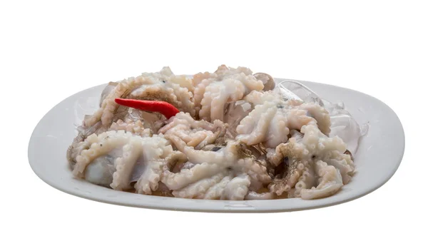 Raw octopus — Stock Photo, Image