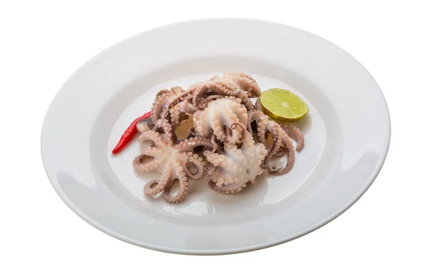 Boiled octopus — Stock Photo, Image