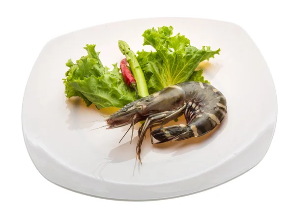 Tiger prawn — Stock Photo, Image