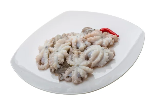 Pulpo crudo — Foto de Stock