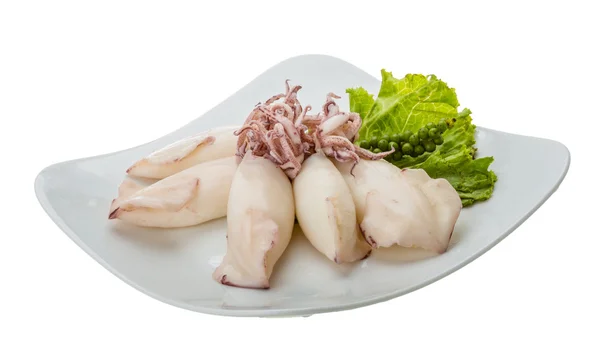 Boiled squid — Stock Photo, Image