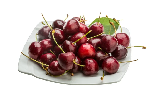 Gean - cherry — Stockfoto