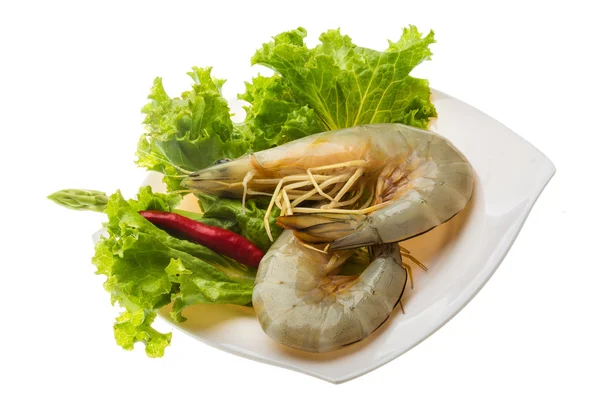 Tiger prawn — Stock Photo, Image