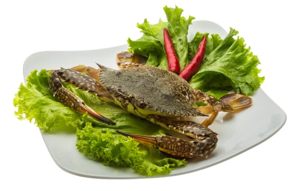 Raw crab — Stock Photo, Image