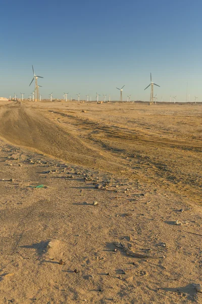 Wind farm — Stock Photo, Image