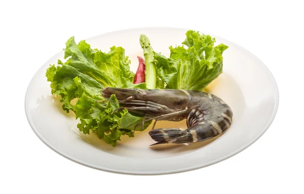 Langostino tigre — Foto de Stock