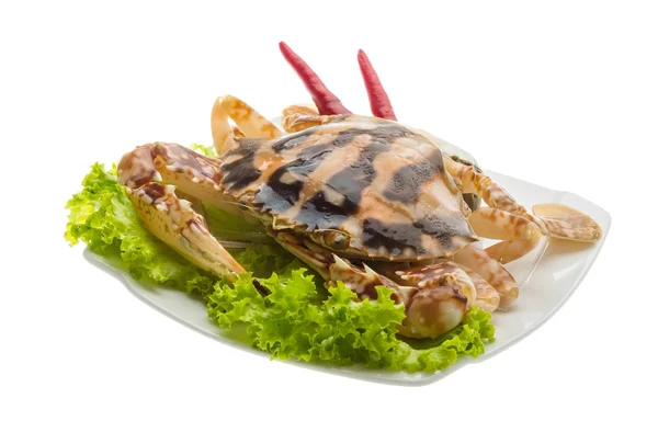 Red crab — Stock Photo, Image