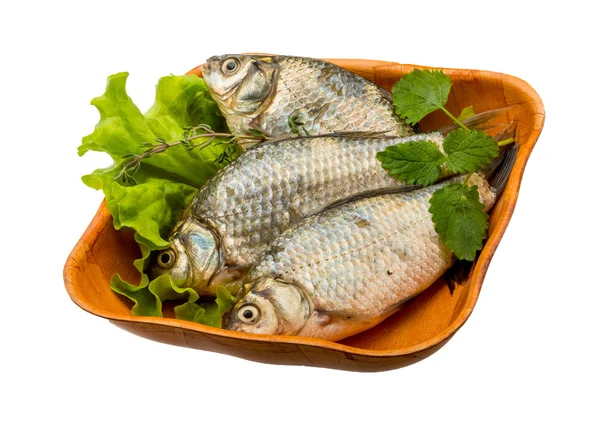 Pesce crociato — Foto Stock