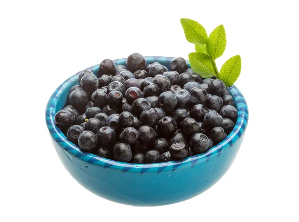 Frische Blaubeeren — Stockfoto