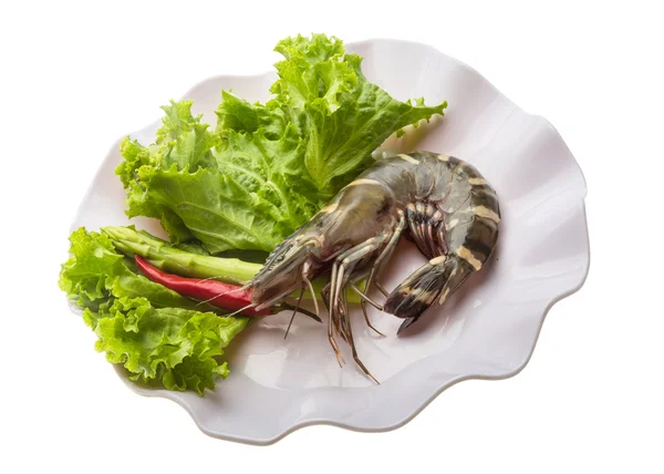 Tiger prawn — Stock Photo, Image