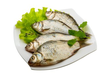 havuz balığı