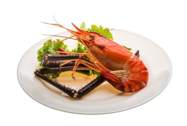 dev tatlı su karides