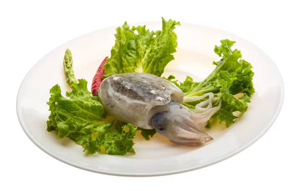 Сырая каракатица — стоковое фото
