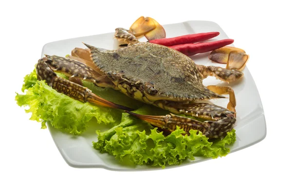 Raw crab — Stock Photo, Image