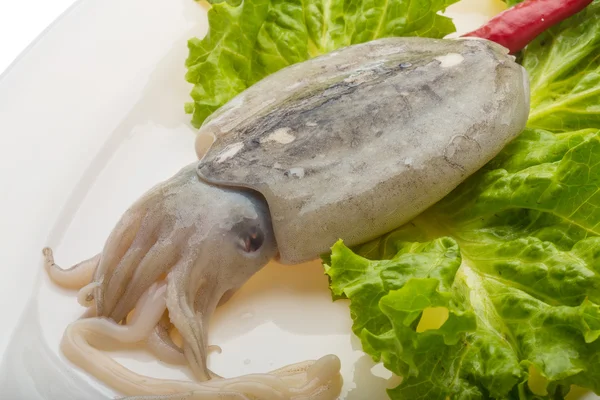 Raw cuttlefish — Stock Photo, Image