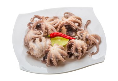 haşlanmış ahtapot