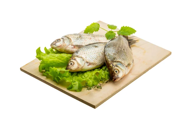 Pesce crociato — Foto Stock