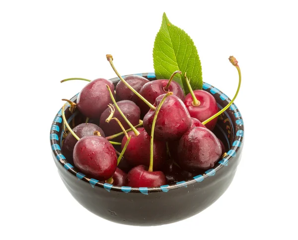 Gean - cherry — Stockfoto