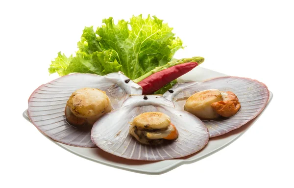 Grillade kammusslor — Stockfoto