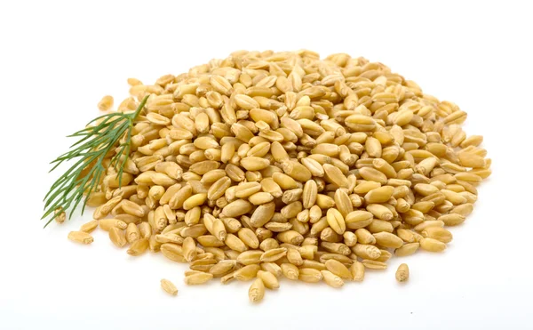 Cereale de grâu — Fotografie, imagine de stoc