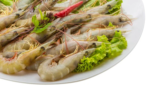 Raw tiger shrimps — Stock Photo, Image