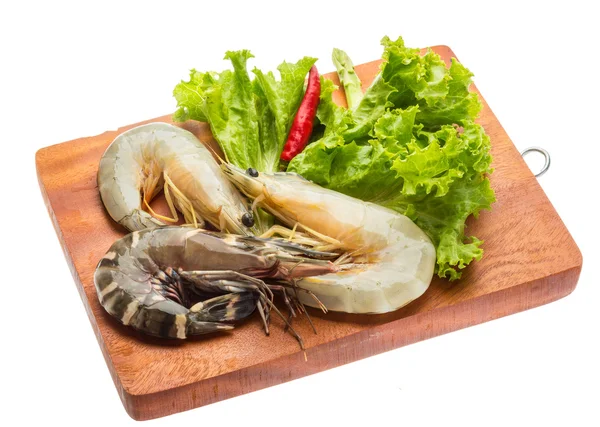 King and waterleg shrimps — Stock Photo, Image